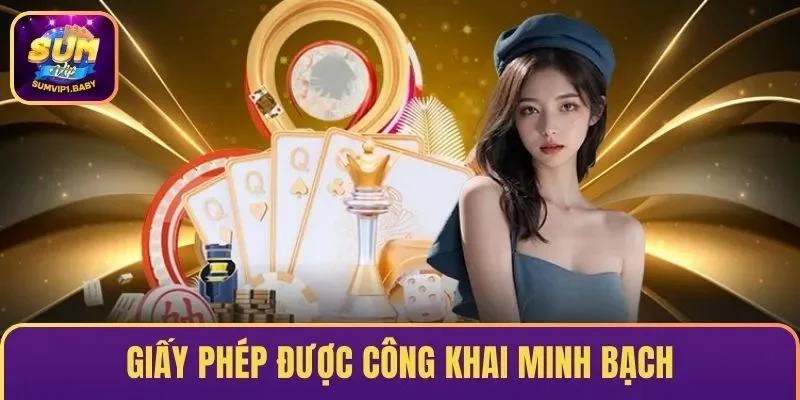 Giấy phép SUMVIP được công khai minh bạch